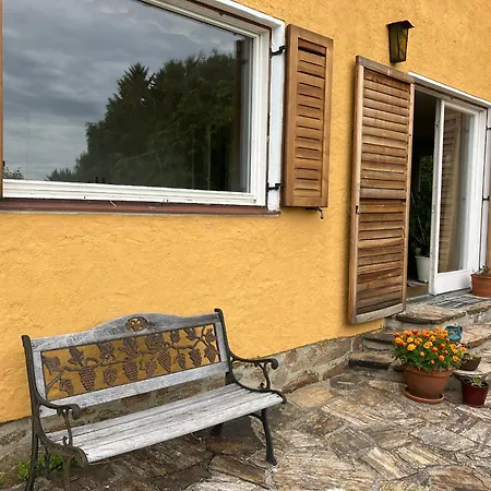 Immergruen
