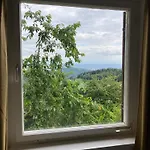 Immergrün